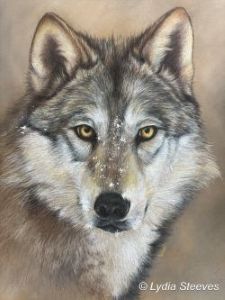 The Watcher CP e-Packet and Prep Video